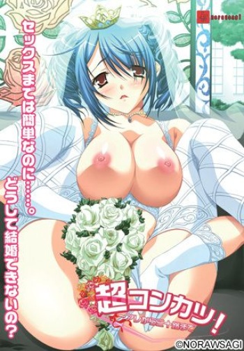 Choukonkatsu! 5nin no Yome ～Are kara Misoji made cover