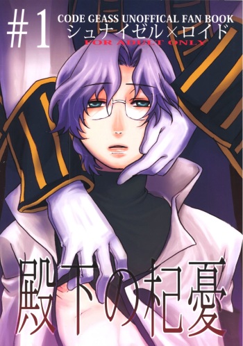 Denka no Kiyuu cover