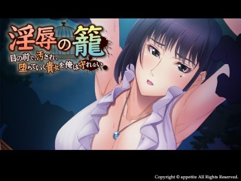 Injoku no Kago ～Menomae de, Kegasare, Ochite Iku Anata wo Ore wa Mamorenai～ cover