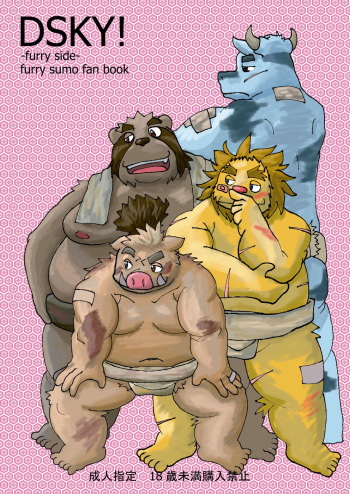 DSKY! -furry side- cover