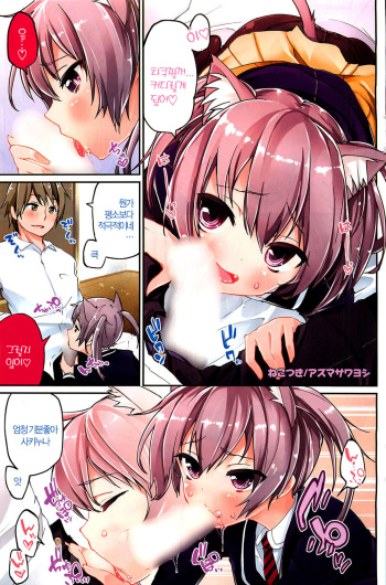 Nekotsuki cover