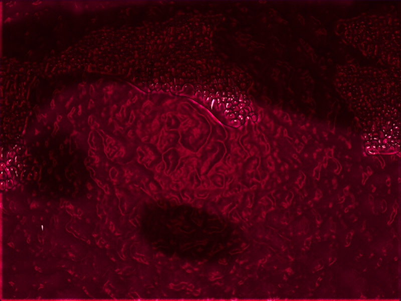 Lunatic Summon - Magical Eri - page 7 full