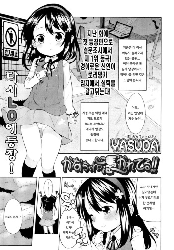 Kana-chan Tsukare Teru!! | 카나쨩이 홀려버렸어!! cover