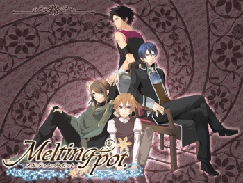 Melting Pot cover
