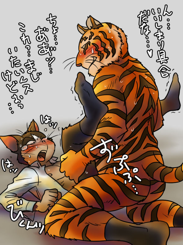 ネコ営業とトラ社長 page 5 full