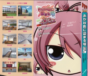 あかね色に染まる坂 なごみマニアックス image cover