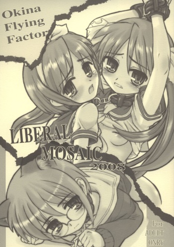 Liberal Mosaic 2008 cover