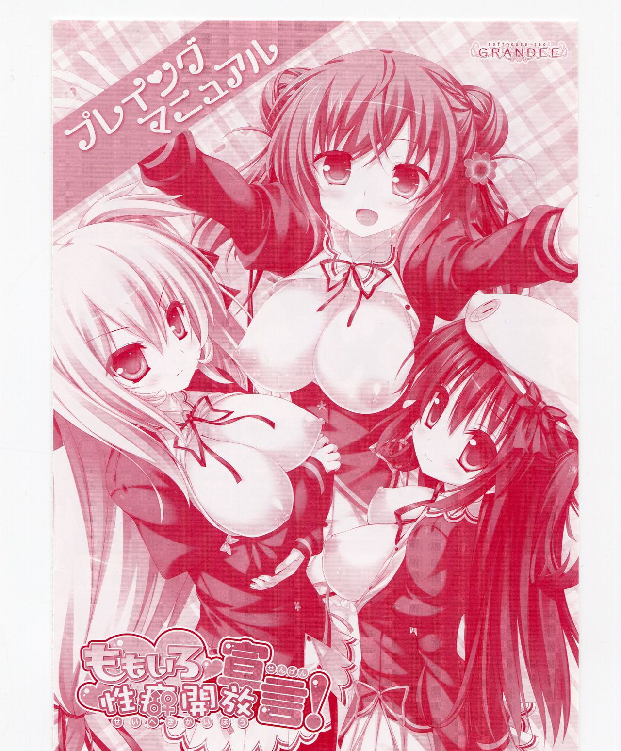 Momoiro Seiheki Kaihou Sengen! page 2 full