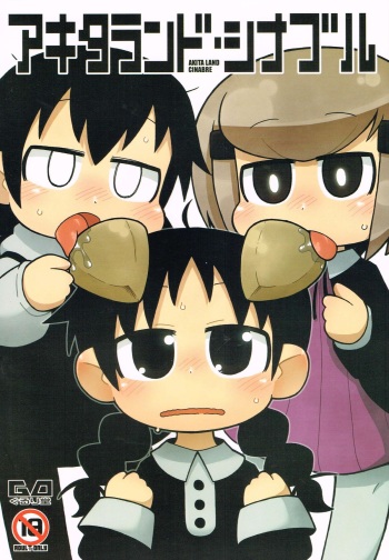 AKITA LAND CINABRE cover