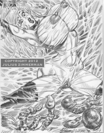 Collected artwork of Julius Zimmerman cover