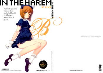 IN THE HAREM B SIDE cover