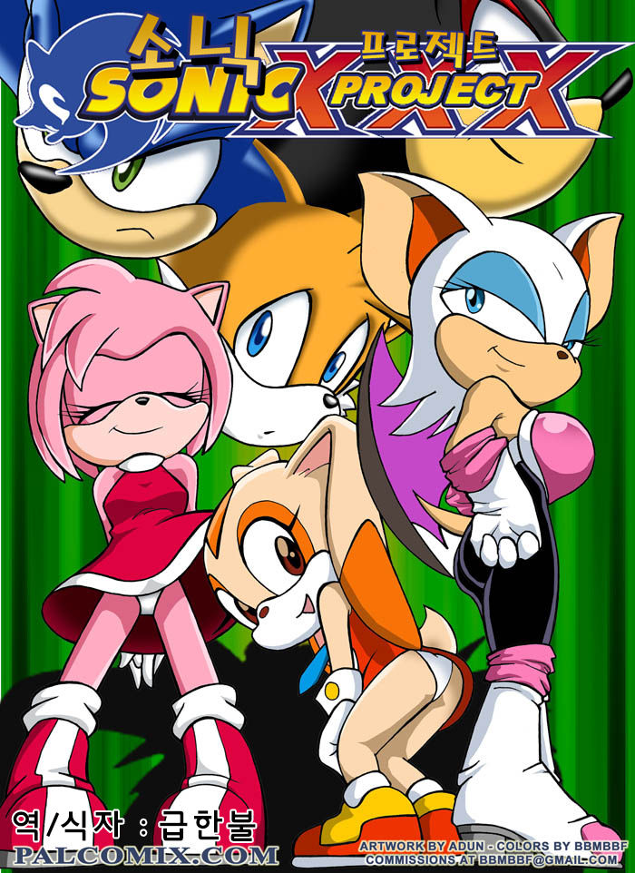 Sonic XXX Project page 1 full