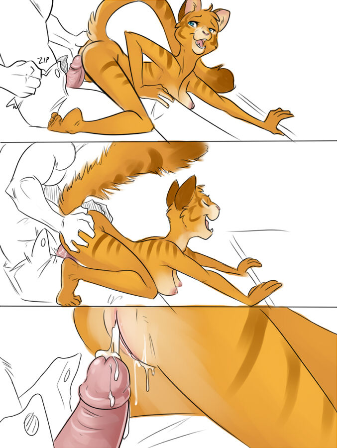 stretch page 5 full