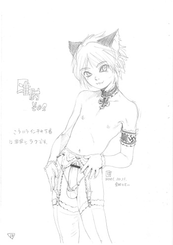 Schrodinnger Collection cover