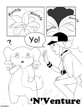 'N'Venture cover