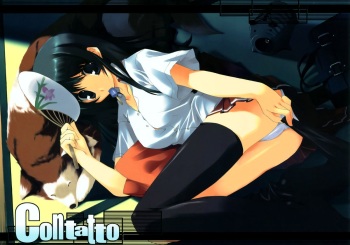 Contatto cover