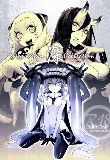 Shinkaiseikan Collection cover
