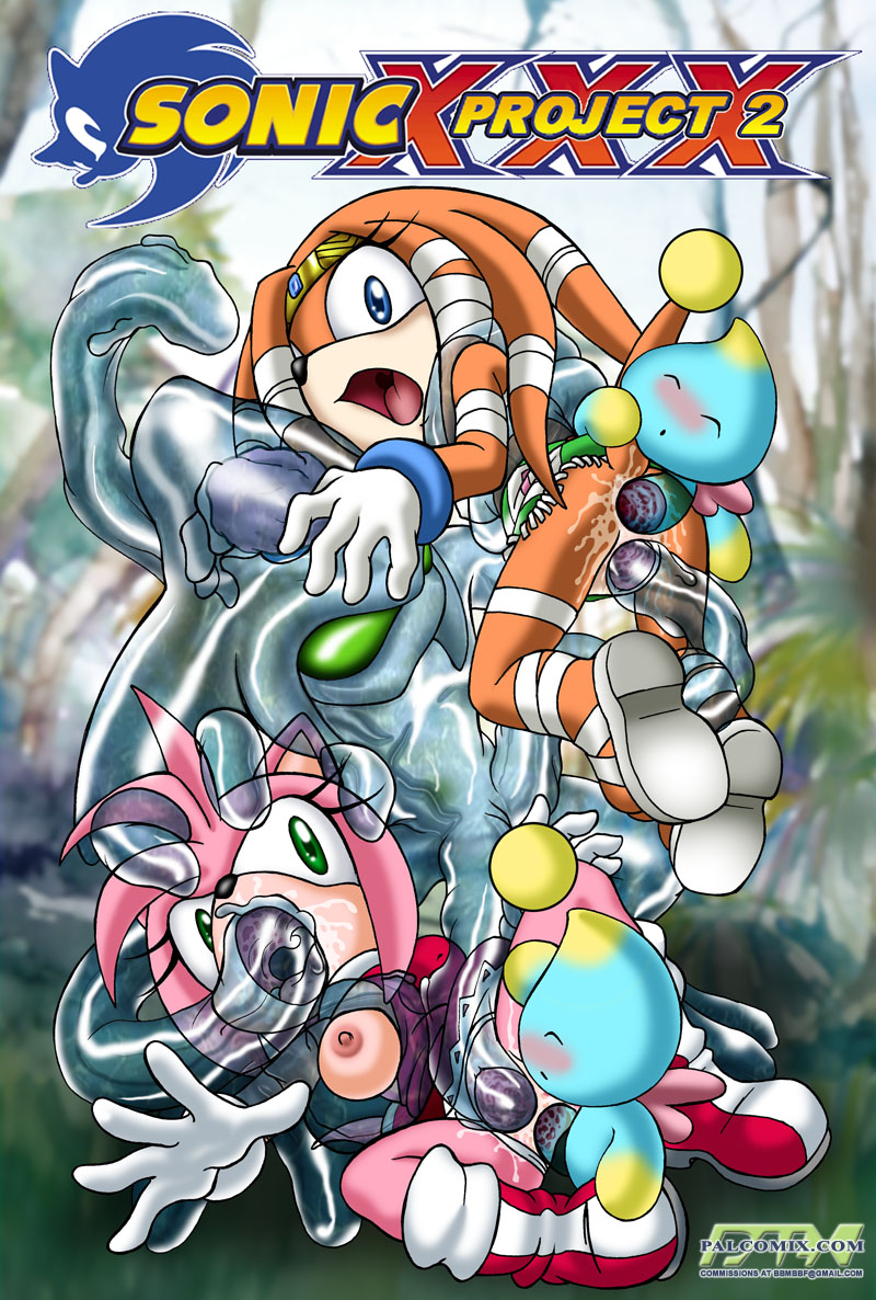 Sonic Project XXX 2 page 1 full