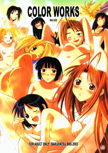 COLOR WORKS Vol. 03 cover