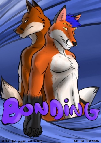 Bonding cover