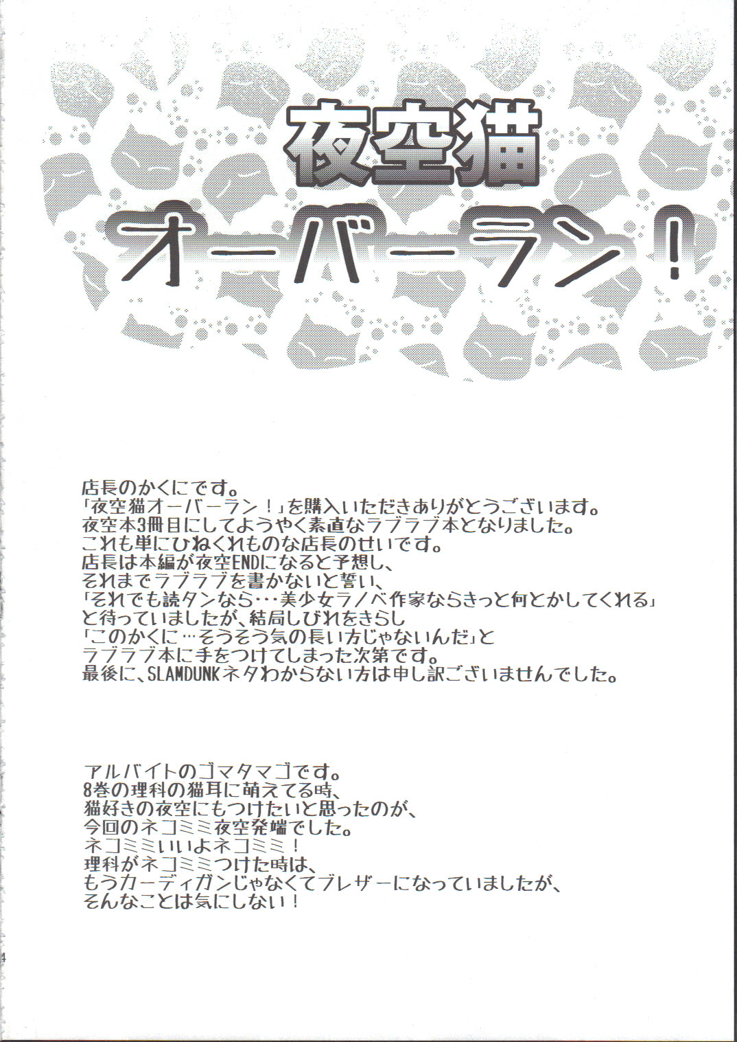 Yozora Neko Overrun page 3 full