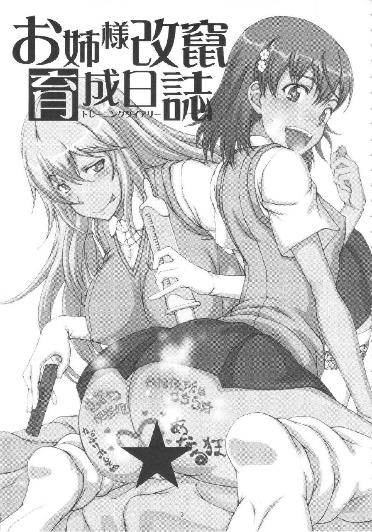 Onee-sama Kaizan Training Diary page 2 full