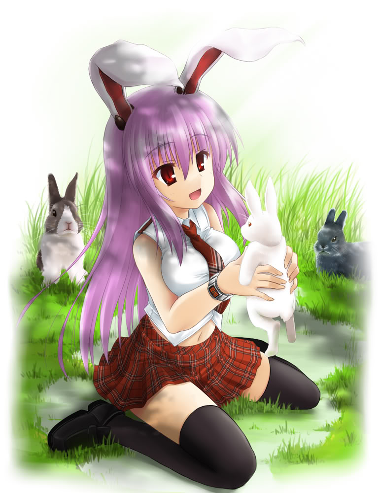 reisen udongein inaba page 5 full