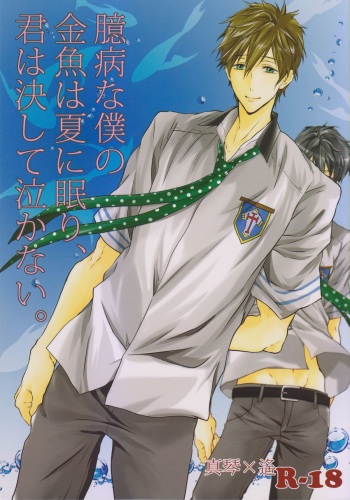 Okubyou na Boku no Kingyo wa Natsu ni Nemuri, Kimi wa Kesshite Nakanai. cover