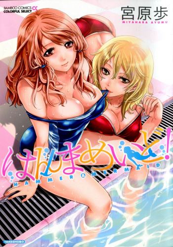 Hammer &amp; Mermaid cover