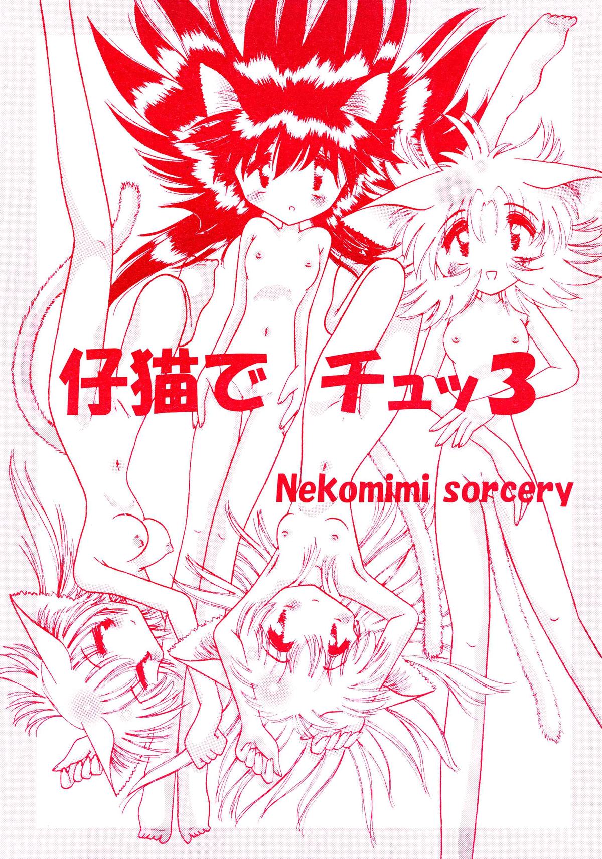Shi Neko De Chutsu 3 page 1 full