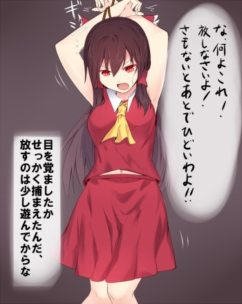 Omorashi Reimu-chan cover