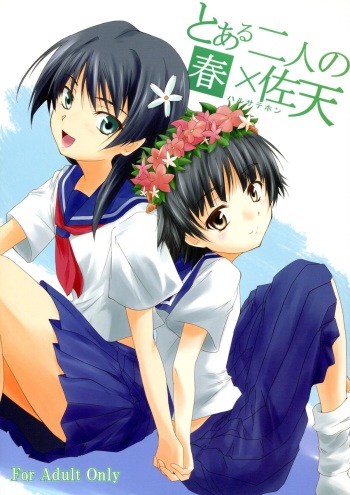 Toaru Futari no Haru Sate Hon cover