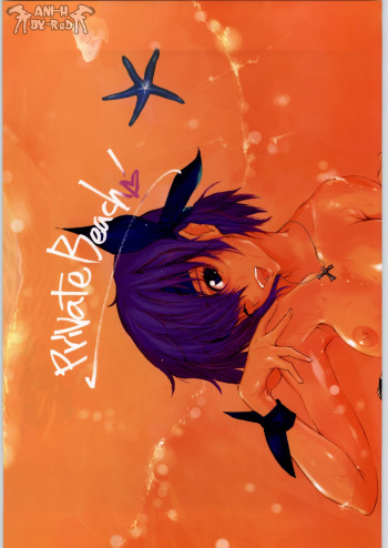 Private Beach! cover