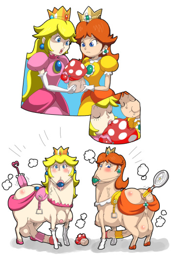 /d/orses cover