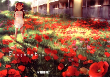 Fragmental cover