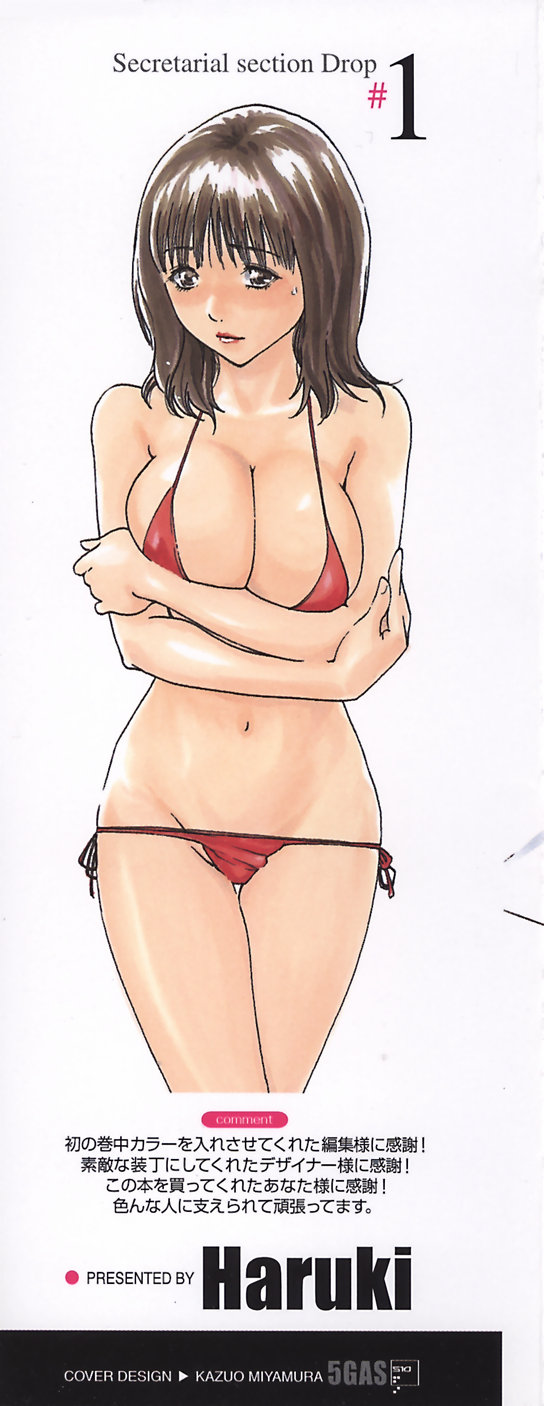 Hishoka Drop - Secretarial Section Drop 1 page 3 full
