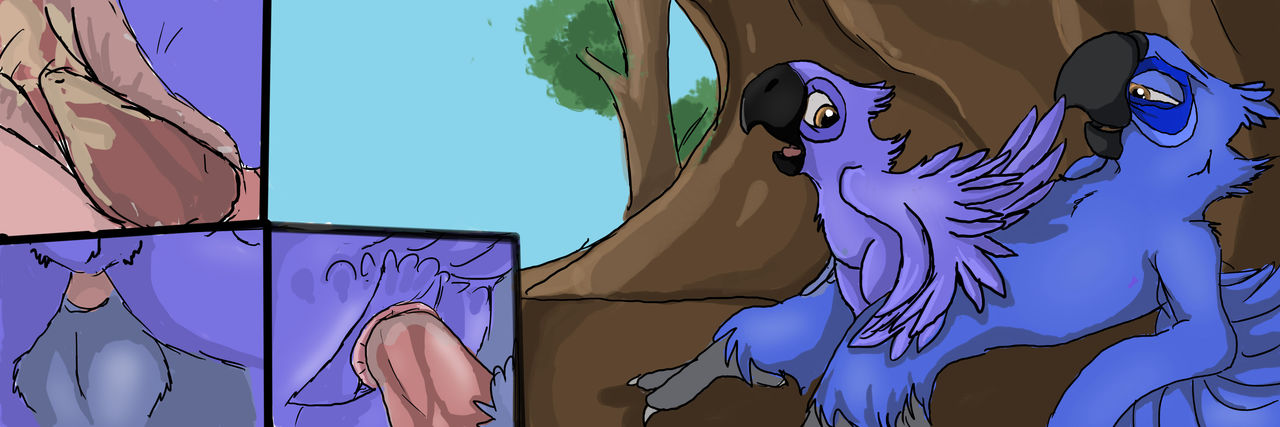 rio page 4 full