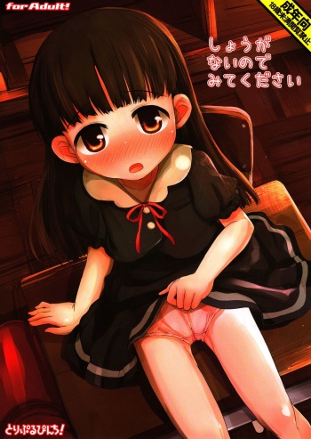 Shouganainode Mite Kudasai cover