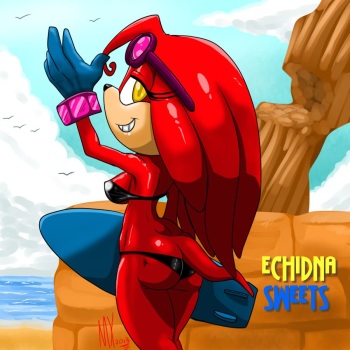 Echidna Sweets cover