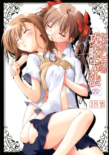 Toaru Otome no Kouryaku Houhou cover