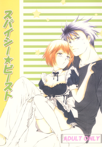 Spicy Beast cover