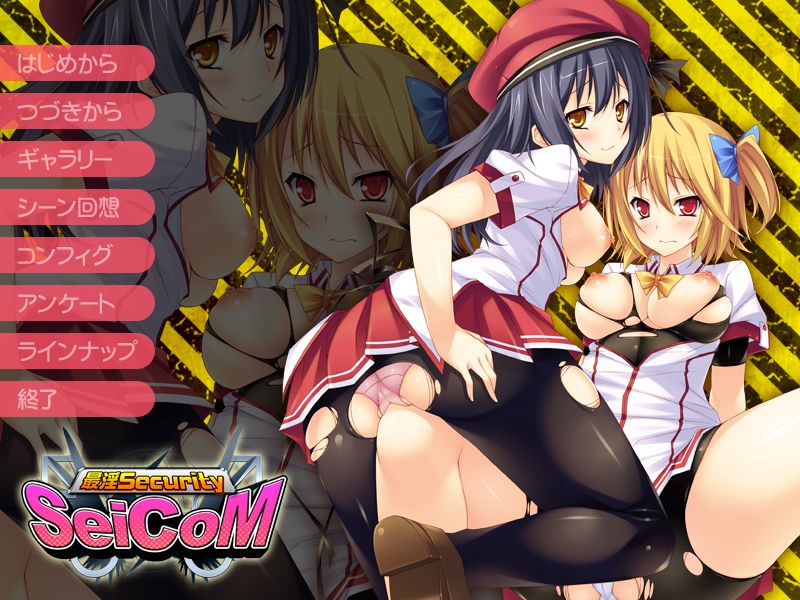 Saiin Security SeiCoM page 2 full