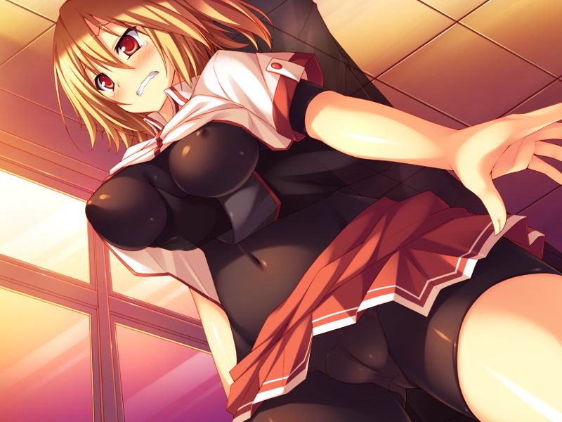 Saiin Security SeiCoM page 3 full