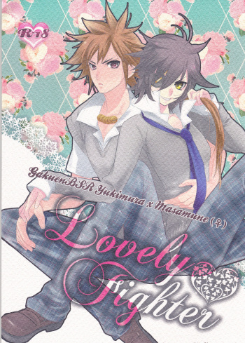 Lovely Fighter cover