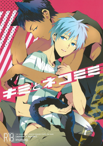 Kimi to Nekomimi cover