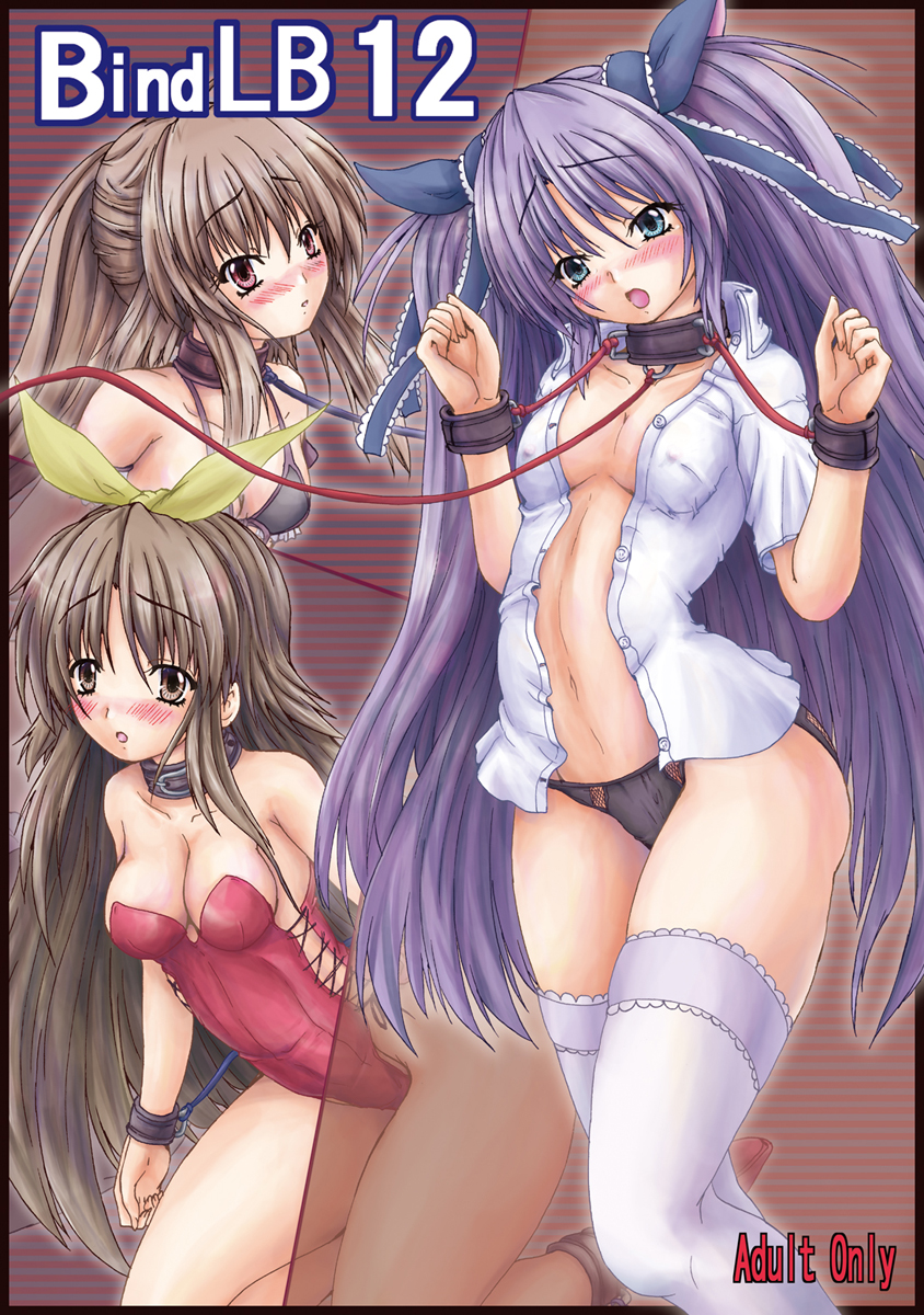 Bind LB12 page 1 full