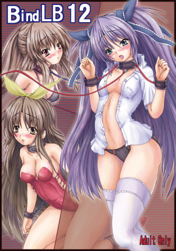 Bind LB12 cover