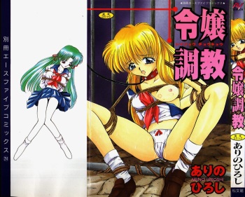 Reijou Choukyou cover