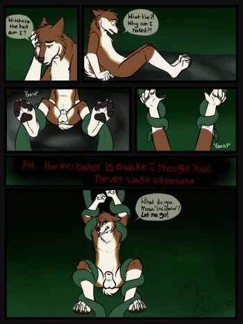 The Incubator cover