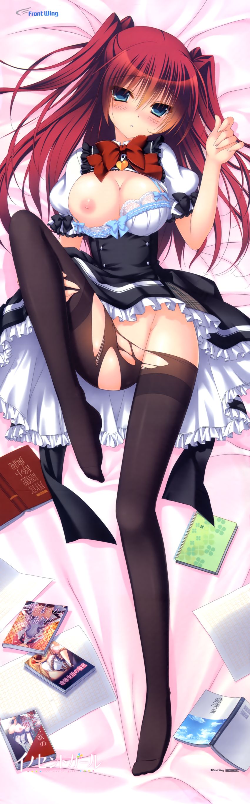 Dakimakura Collection 2 page 8 full